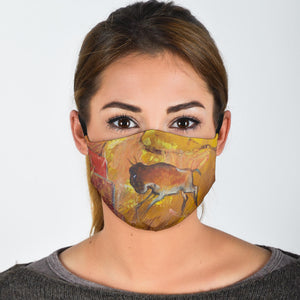 Abstract Buffalo Face Mask